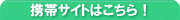�P�[�^�C�ł�������