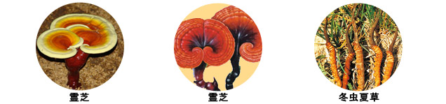 ��ŖE�q���A��Ŕ������A�~���đ��ێ��́A�[���`��